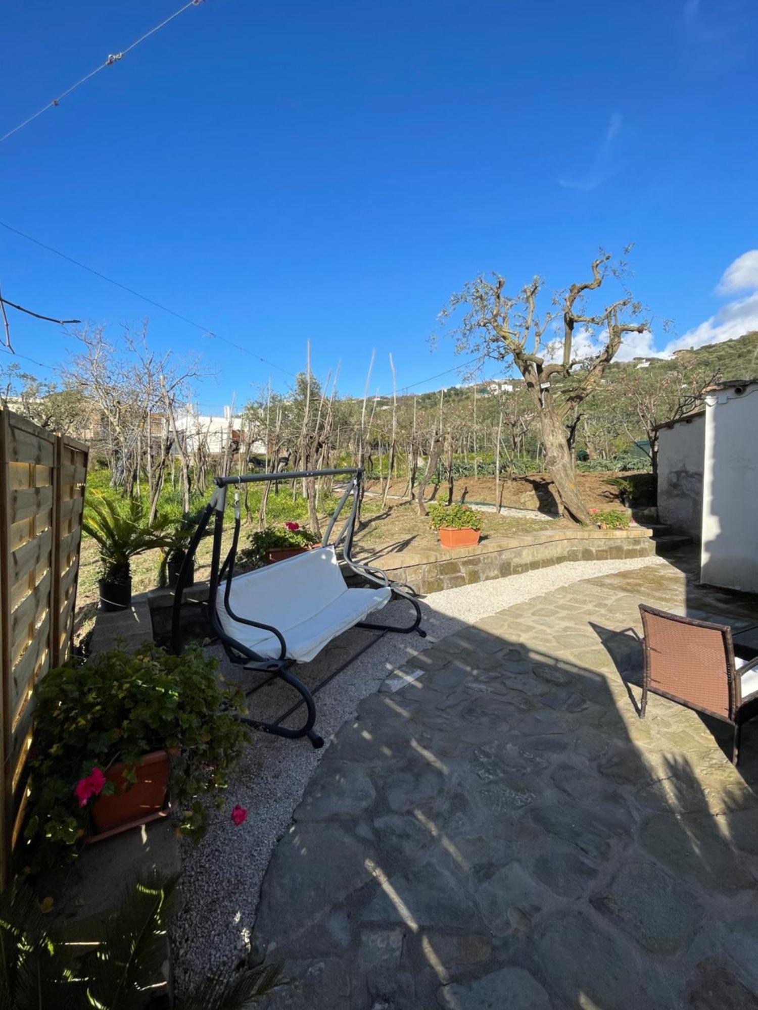 Liparulo Holiday House Massa Lubrense Dış mekan fotoğraf